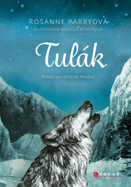 E-kniha Tulák
