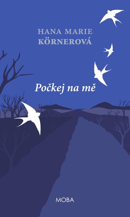 E-kniha Počkej na mě