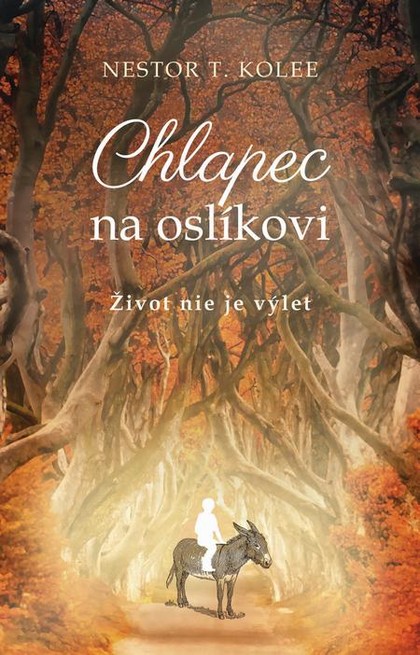 E-kniha Chlapec na oslíkovi