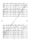 Robert Hejnar: Lorelei pro housle sólo, komorní smyčcový orchestr a klavír - galerie 3