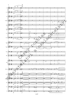 Václav Trojan: Concertino per tromba ed orchestra - galerie 3