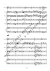 František Xaver Dušek: Concerto per il clavicembalo, due corni, due violini, viola e basso in D - galerie 3