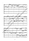 Lukáš Hurník: Obrácené variace pro smyčcový orchestr / smyčcový kvintet / smyčcový kvartet - galerie 3