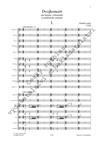 Dvojkoncert pro housle, violoncello a symfonický orchestr - galerie 2