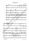 Zdeněk Pololáník: Concerto grosso č. 2 pro klarinet, fagot a smyčce - galerie 2