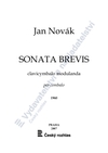 Jan Novák: Sonata brevis - galerie 1