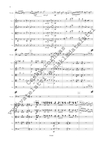 František Domažlický: Koncert pro tubu a smyčce, op. 53 - galerie 3