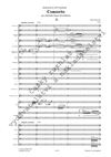 Aleš Pavlorek: Concerto per clarinetto basso ed orchestra - galerie 2