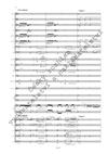 Aleš Pavlorek: Concerto per clarinetto basso ed orchestra - galerie 3