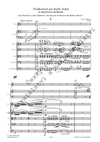 Emil Viklický: Dvojkoncert pro harfu, hoboj a smyčcový orchestr - galerie 2