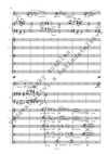 Emil Viklický: Dvojkoncert pro harfu, hoboj a smyčcový orchestr - galerie 3