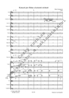 Marie Sommerová: Koncert pro flétnu a komorní orchestr - galerie 2