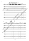 Outsider bohém, Příběh pro fagot a komorní orchestr, op. 29 - galerie 3