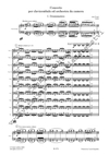 Jiří Teml: Concerto per clavicembalo ed orchestra da camera - galerie 2