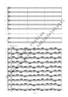 Jiří Teml: Concerto per clavicembalo ed orchestra da camera - galerie 3