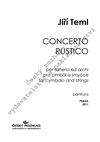 Jiří Teml: Concerto rustico per salterio ed archi - galerie 1