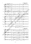 Vilém Blodek: Symfonie d moll - galerie 3