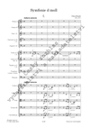 Vilém Blodek: Symfonie d moll - galerie 2