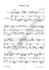 Václav Vodička: Sonáty pro housle (flétnu) a basso continuo op. 2 - galerie 2