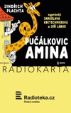 Jindřich Plachta: Pučálkovic Amina - galerie 1