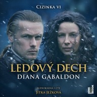 Mluvené slovo Diana Gabaldon: Cizinka VI - Ledový dech