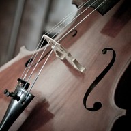 Hudba Saint-Saëns: Karneval zvířat, Violoncellový koncert č. 1