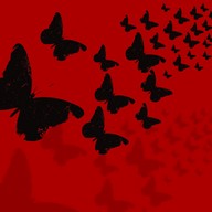 Hudba Lída Nopová: Láska má motýlí křídla