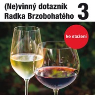 Mluvené slovo (Ne)vinný dotazník Radka Brzobohatého 3.