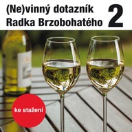 Mluvené slovo (Ne)vinný dotazník Radka Brzobohatého 2.