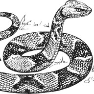 Mluvené slovo František Pavlíček: Hadí kůže