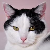 Mluvené slovo Dagmar Langová: O splněných přáních