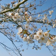 Mluvené slovo K. H. Mácha: Máj