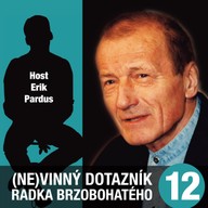Mluvené slovo (Ne)vinný dotazník Radka Brzobohatého 12.