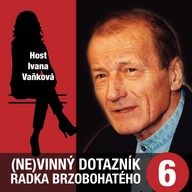 Mluvené slovo (Ne)vinný dotazník Radka Brzobohatého 6.