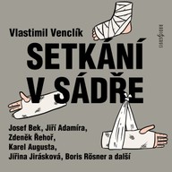 Mluvené slovo Vlastimil Venclík: Setkání v sádře