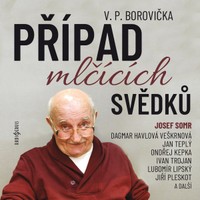 Obrázek díla