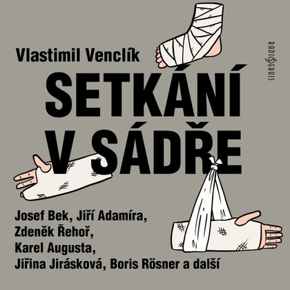 Mluvené slovo Vlastimil Venclík: Setkání v sádře