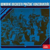 Hudba Komorní orchestr pražské konzervatoře (Martinů: Serenády, Janáček: Suita)