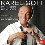 Hudba Karel Gott vs. DJ Neo Remixes (EP)