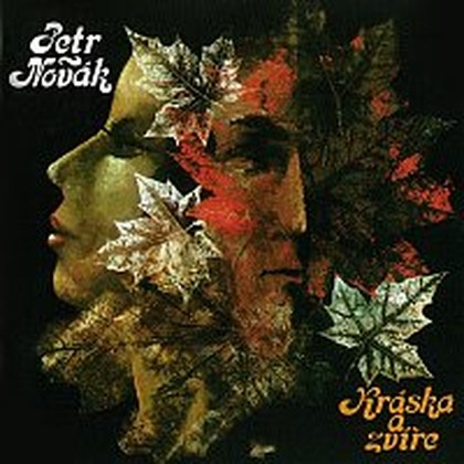 Hudba Kráska a zvíře